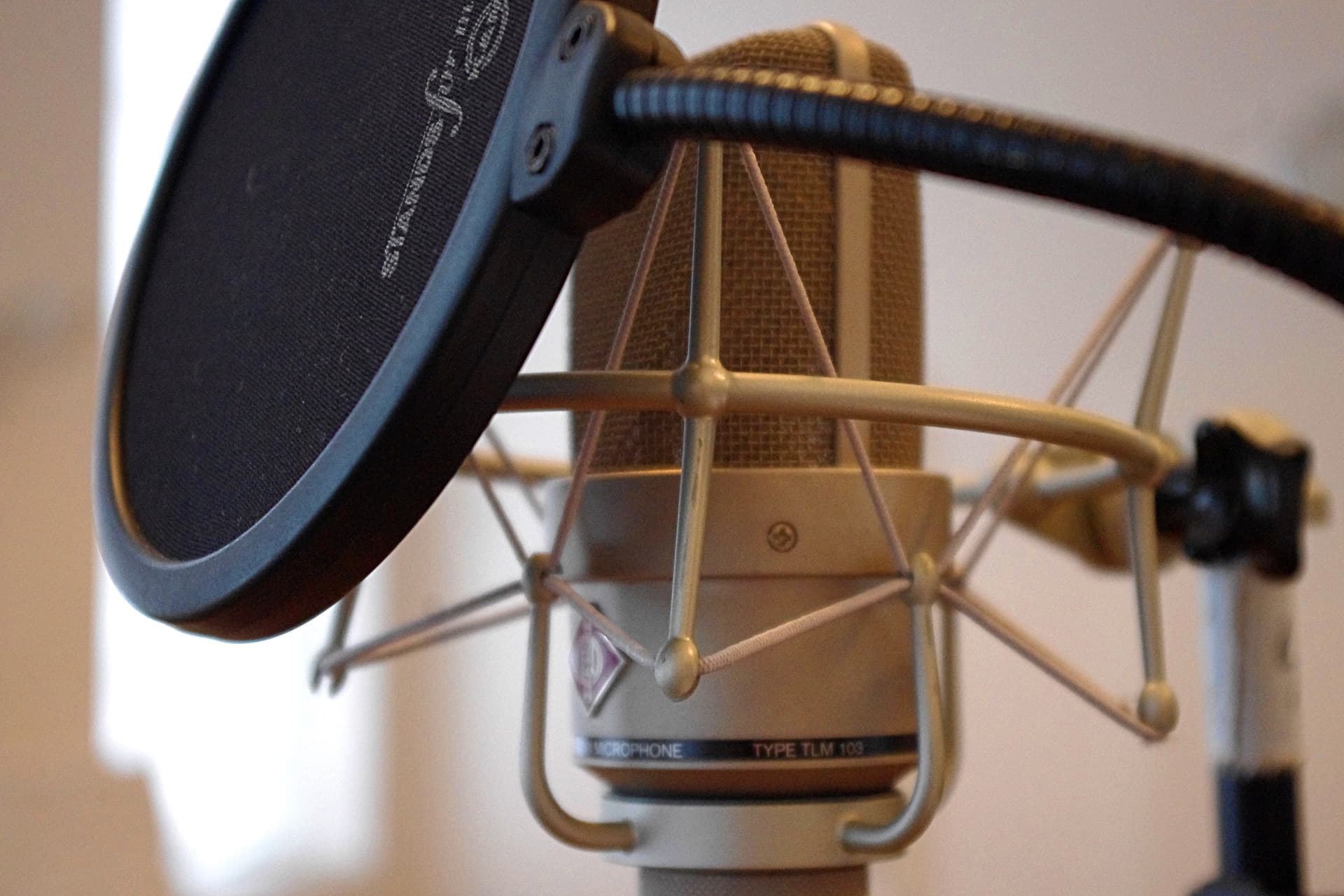 cheap studio tools pop filter