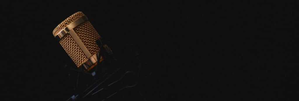 Microphone input is important when setting Recording levels