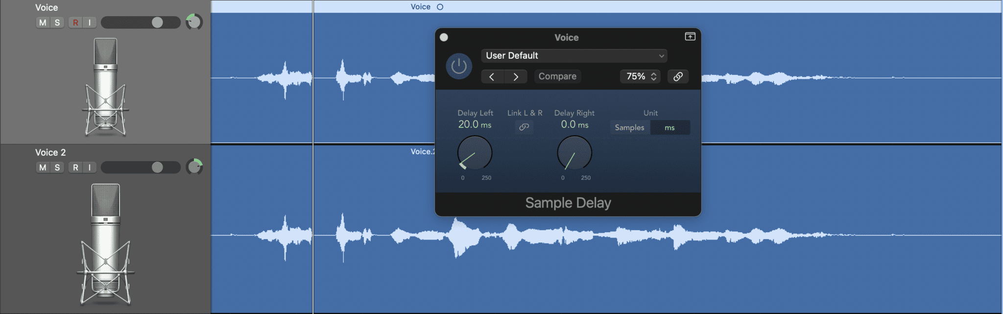 Audio production interface showing two voice tracks with visible microphone icons and a sample delay plugin.